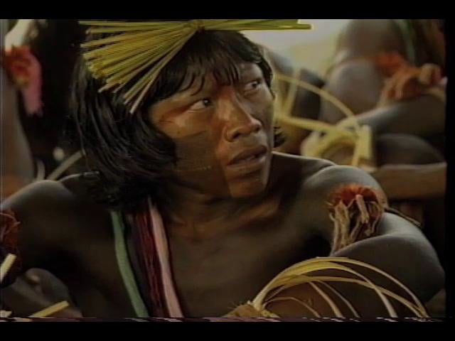 Cena Tropical | Documentários